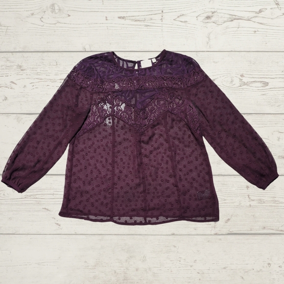 Anthropologie HD in Paris Sheer Eggplant Top - Picture 2 of 9